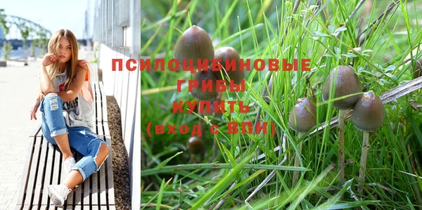 бутик Новозыбков