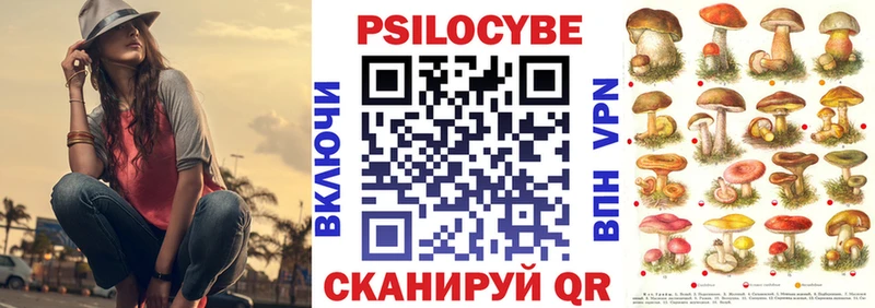 Псилоцибиновые грибы Psilocybine cubensis  Моздок 