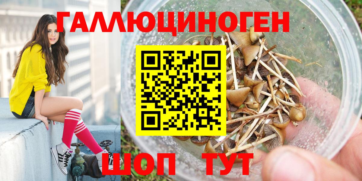 Псилоцибиновые грибы GOLDEN TEACHER  Вход с VPN  Моздок 