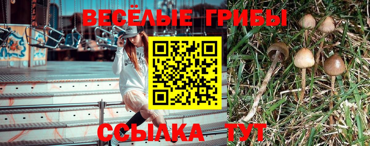 Галлюциногенные грибы GOLDEN TEACHER  Галлюциногенные грибы Magic Shrooms  Моздок 