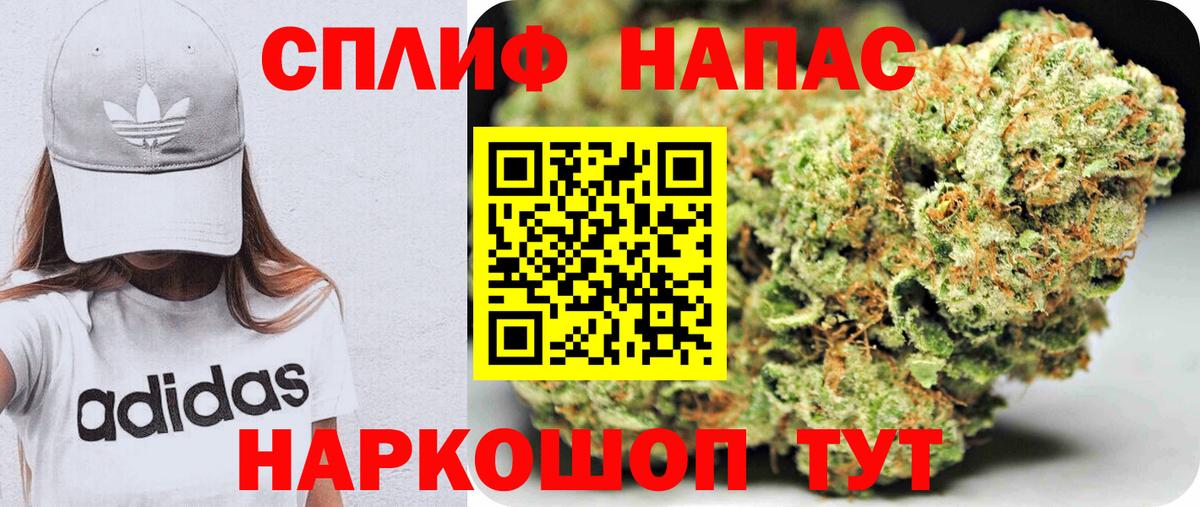 Бошки Шишки тримм Моздок